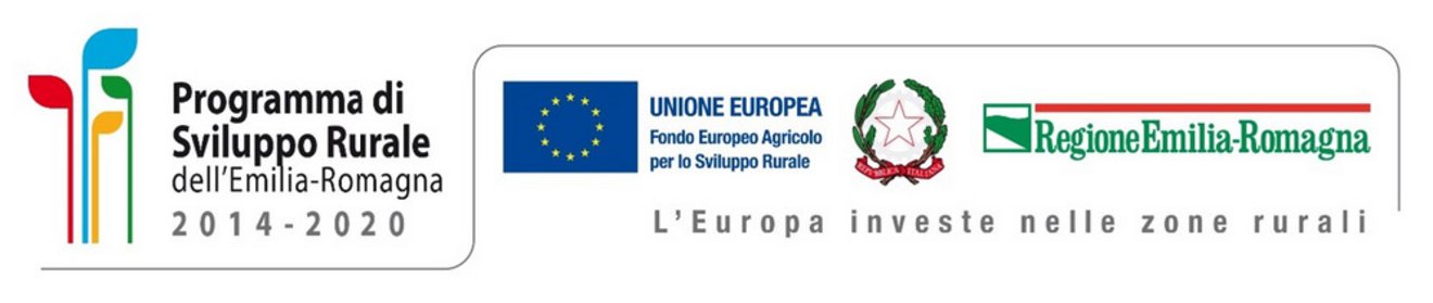 Progetti_corretti_Pagina_3_Immagine_0001