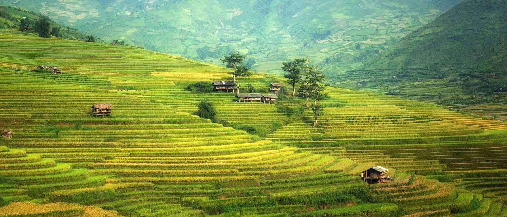 agriculture-countryside-cropland-235829_res